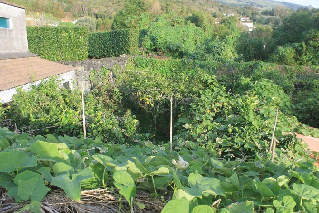 Quinta Do Areeiro Apartman Horta  Kültér fotó